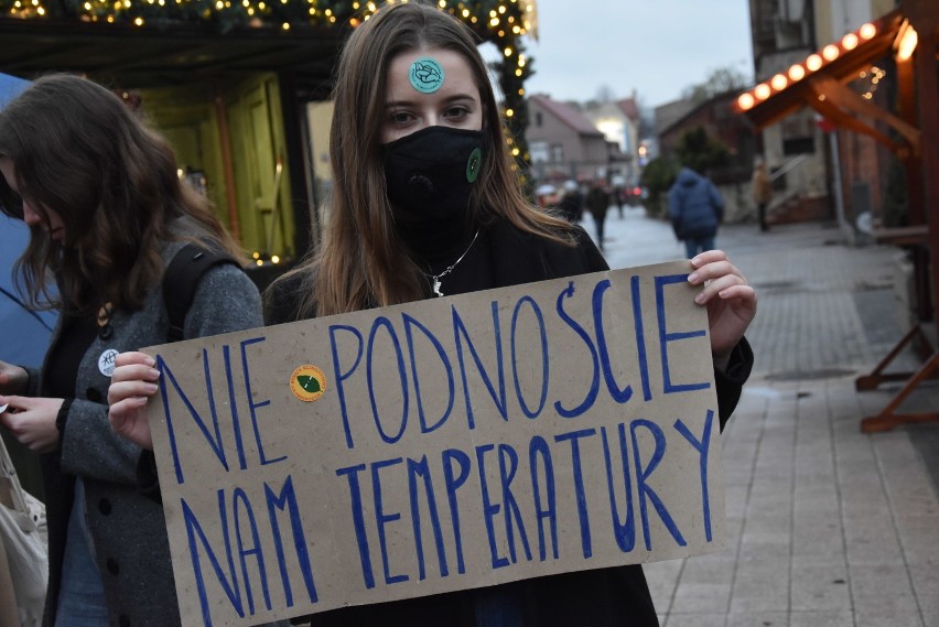 Młodzieżowy Strajk Klimatyczny w Rybniku