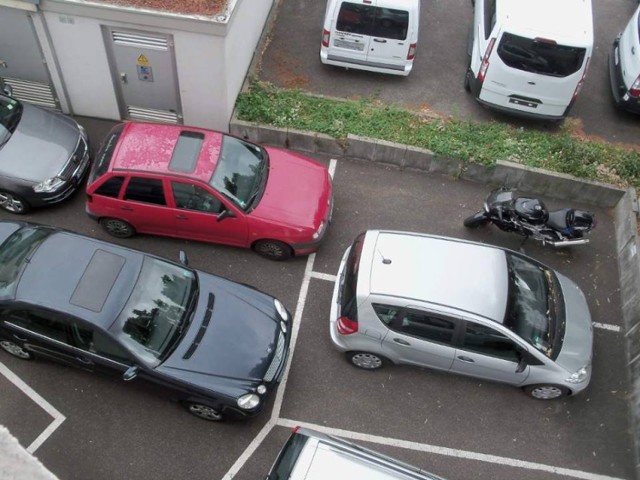 Święte Krowy Poznań - Mistrzowie parkowania na Facebooku
