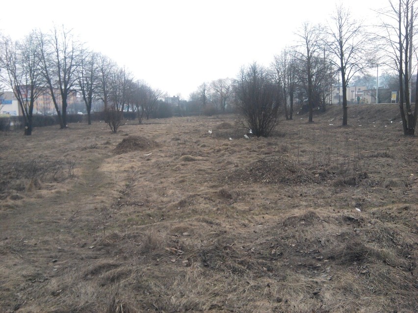 Zaczęli sprzątać teren na os. Kaszubskim w Wejherowie i nie dokończyli FOTO