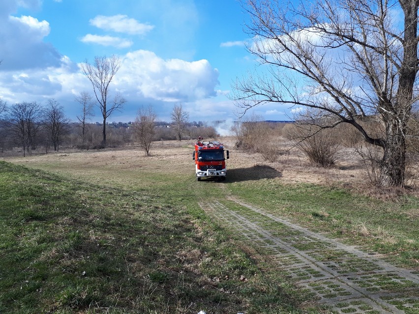 Pożar traw na osiedlu Gądki w Jaśle. Strażacy musieli gasić podpalone nieużytki przy Wisłoce [ZDJĘCIA]