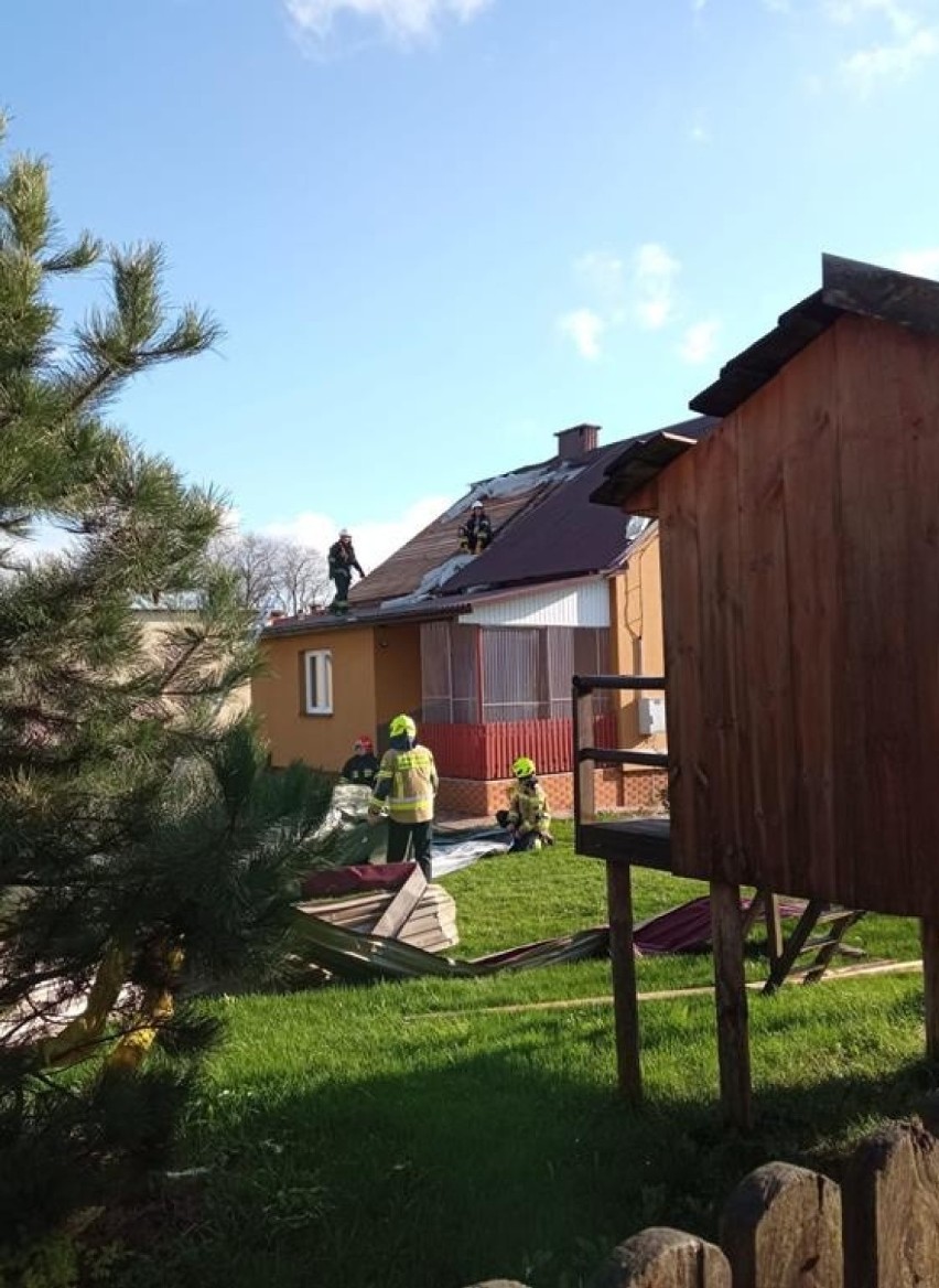 Województwo lubelskie: połamane drzewa, uszkodzone samochody i linie energetyczne. Blisko 250 interwencji strażaków