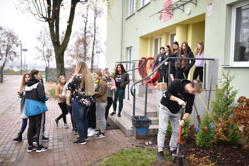 Posadzili żonkilke, które symbolizują nadzieję i odrodzenia życia. W ten sposób pomagają chorym dzieciom