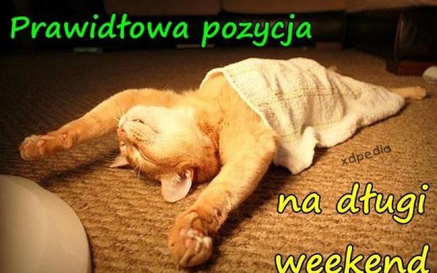 Długi weekend memy