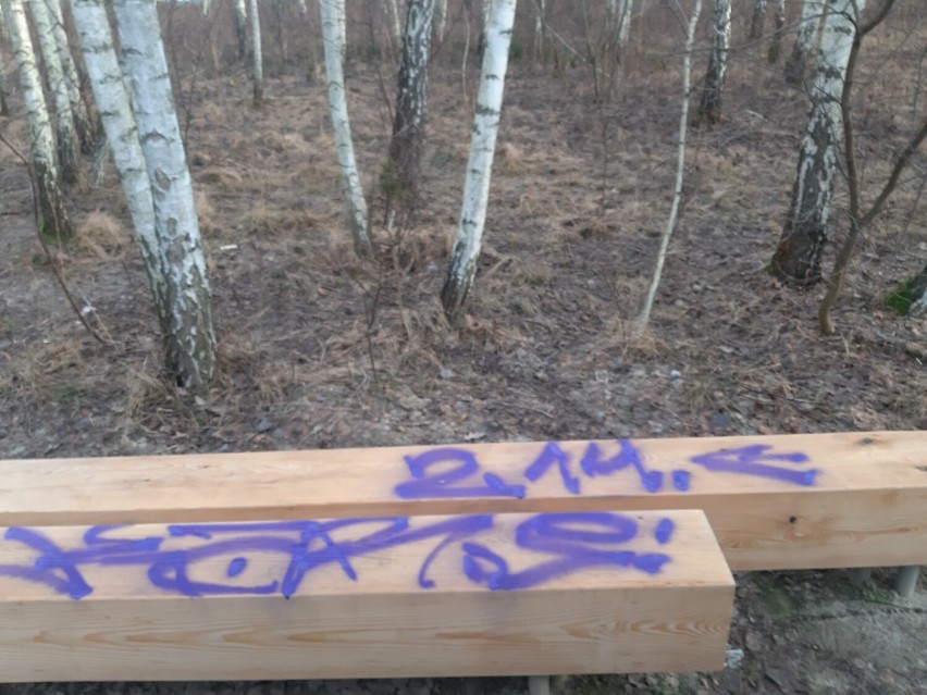 Zniszczone zostało Pole Mokotowskie, park Akcji "Burza" i...
