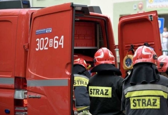 Pożar został ugaszony, w akcji brało udział sześć jednostek straży pożarnej.