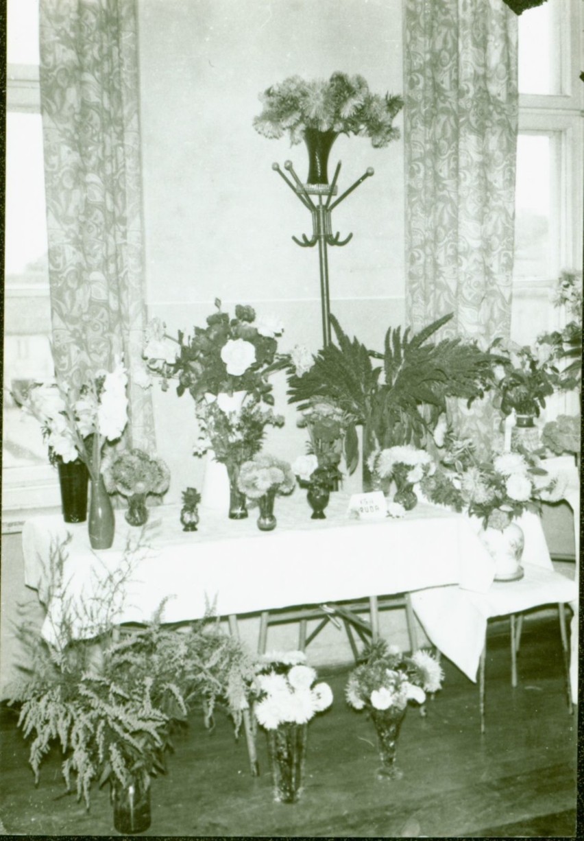 Wystawa kwiatów zorganizowana przez KGW w Zdunach [ZDJĘCIA]          