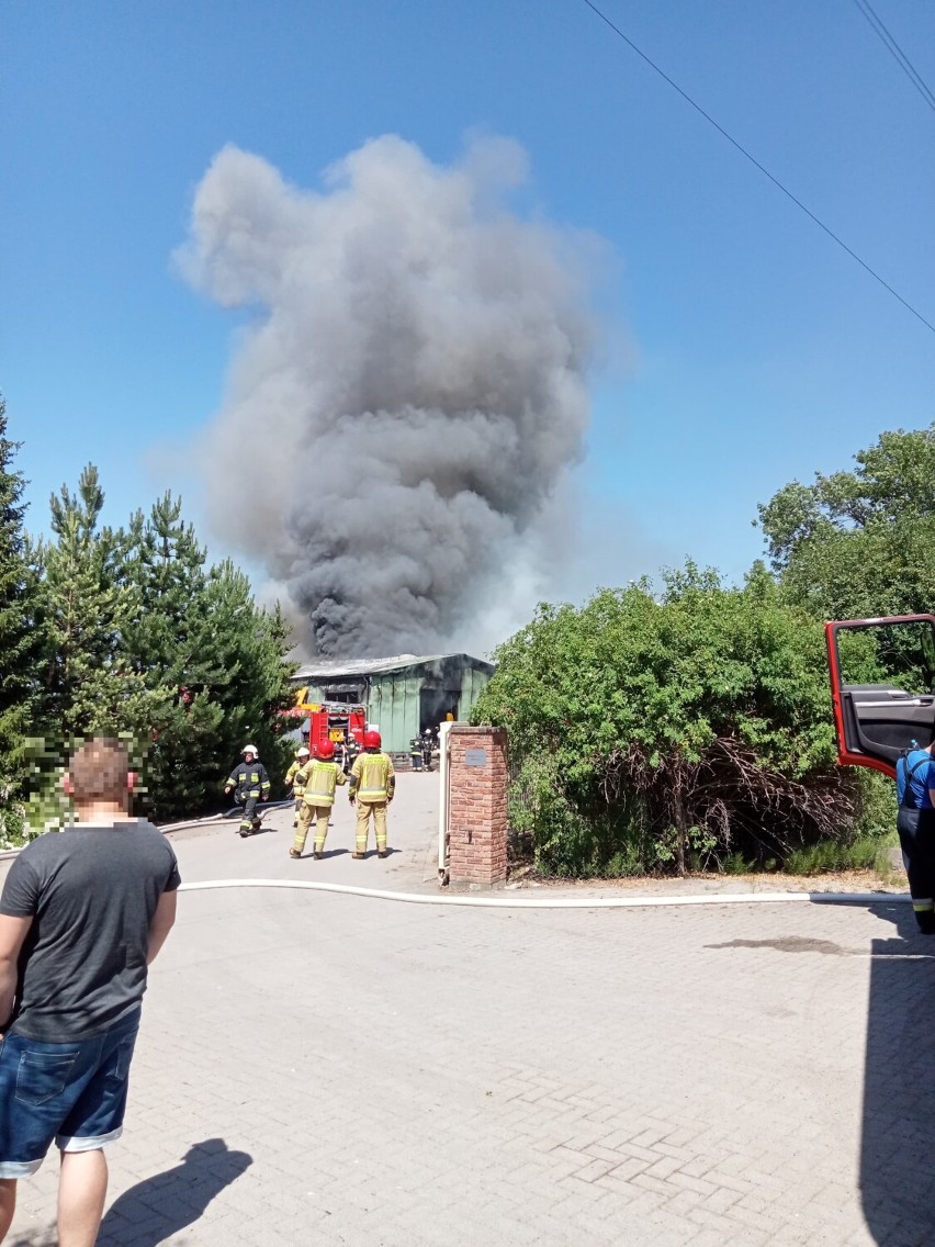 Pożar sortowni kory sosnowej w Wyganowie [ZDJĘCIA]