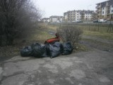 Tczew: blisko sto worków śmieci zebrano nad Kanałem Młyńskim [ZDJĘCIA]