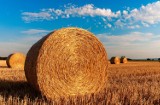 Powiat gdański. KRUS zwalnia rolników ze składek i przedłuża wypłatę dotychczasowych świadczeń