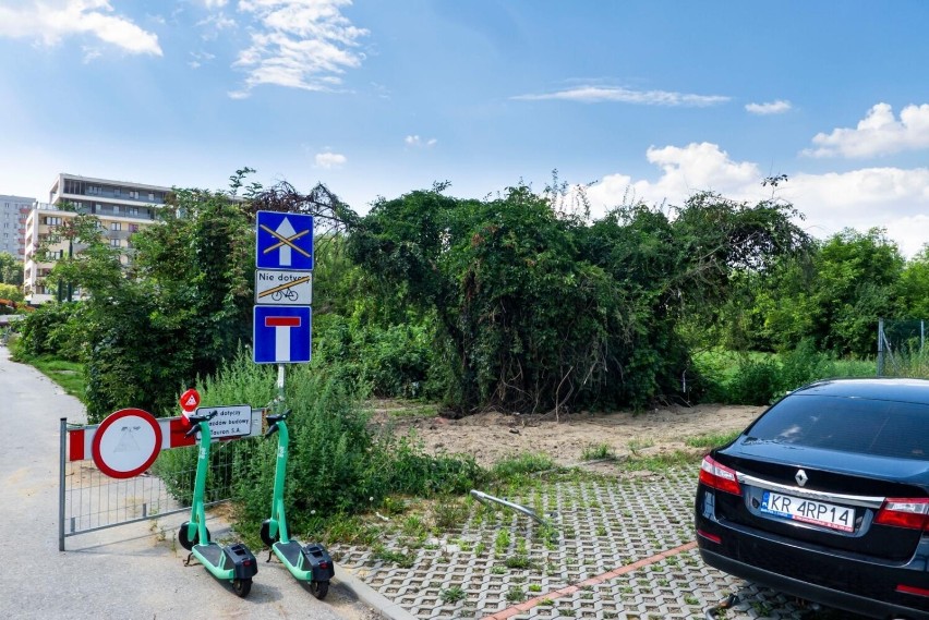 Teren zielony, gdzie plan dopuszcza budowę parkingu