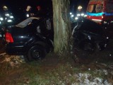 Wypadek w Tarnówce Dąbskiej. Volkswagen uderzył w drzewo