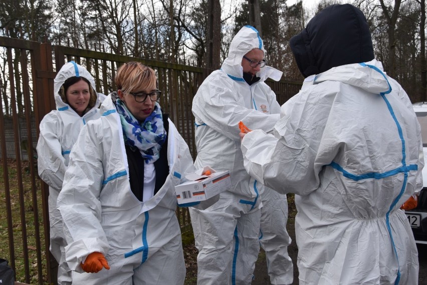 W Wielkopolsce odstrzelono już 35 tysięcy dzików. To jednak jeszcze nie koniec  