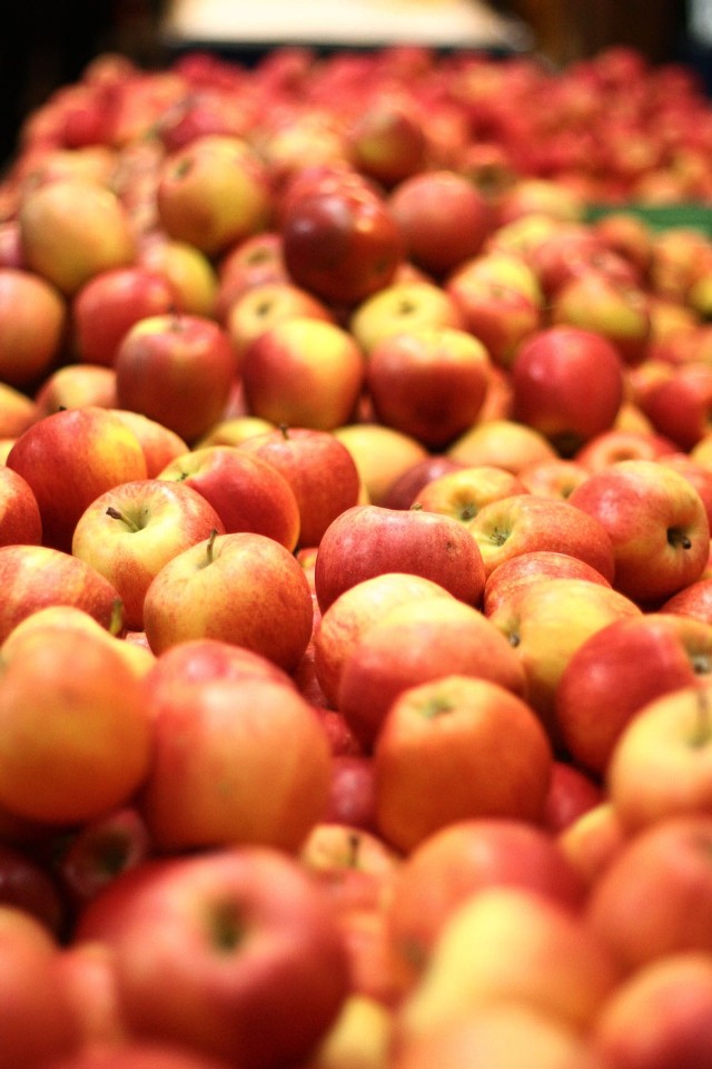 Jabłka kraśnickie są na Liście Produktów Tradycyjnych.
