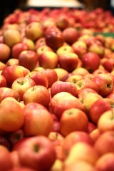 Jabłka kraśnickie na Liście Produktów Tradycyjnych