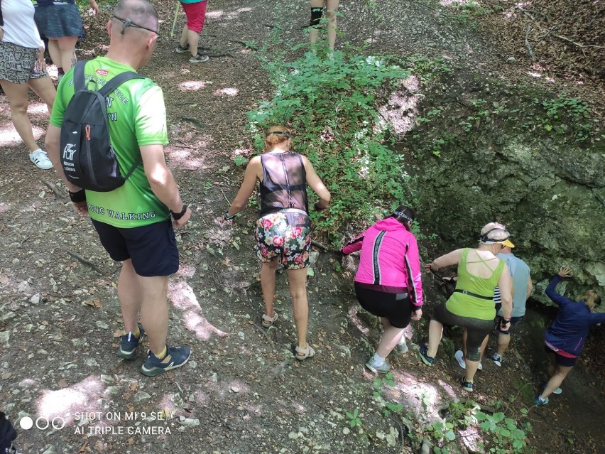 Bolące Piszczele Bełchatów grupa Nordic Walking podczas...