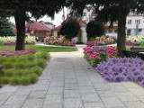 Ponad sześć tysięcy sadzonek kwiatów, krzewów i drzew ma odmienić centrum Bobowej. Gmina ogłosiła właśnie przetarg na zieloną rewitalizację