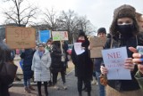 Nie dla spalarni w Wilkowyjach. Mieszkańcy protestują pod UM Tychy. Zobaczcie zdjęcia