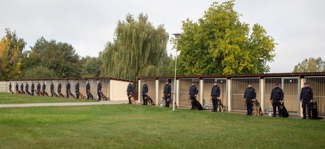 Zbąszyń. Nowe psy służbowe wspomogą funkcjonariuszy Straży Ochrony Kolei, w codziennej służbie