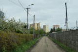 Zaglądamy na Bukową Kępę w Toruniu. Jak tu się żyje, co się zmienia na tym osiedlu?
