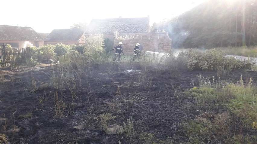 Pożar nieużytków w Kijowicach                     