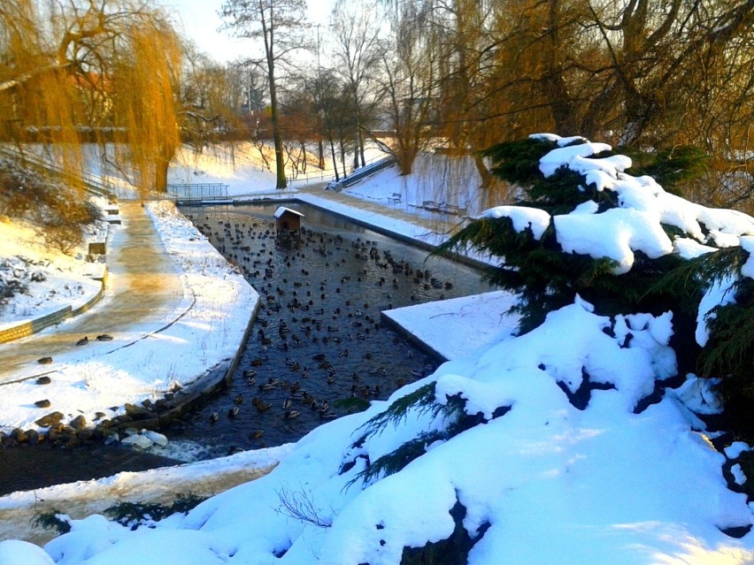 "Dolina Marzeń" w zimowej scenerii