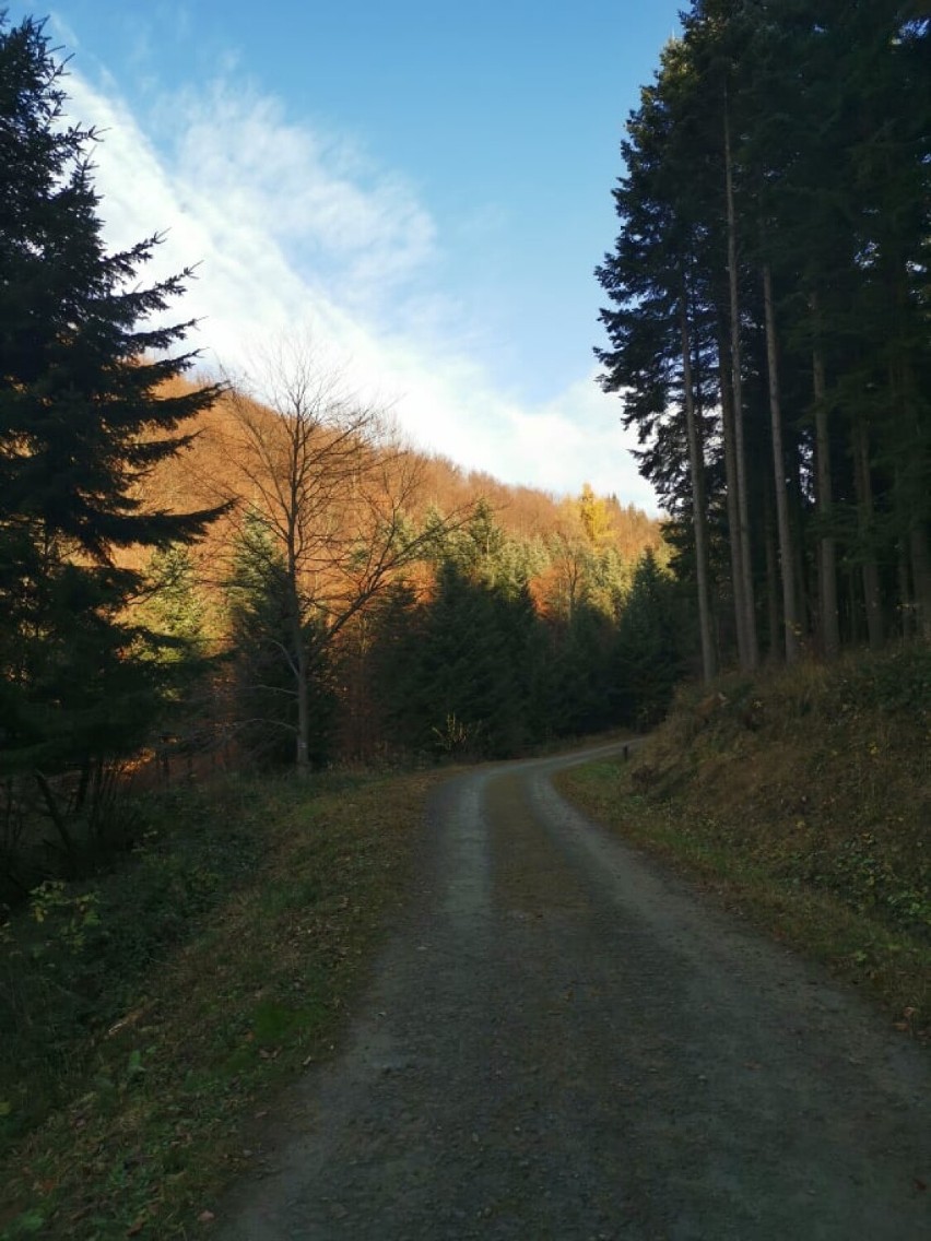 Gorlickie. Z Regietowa do Wysowej i z powrotem. Jeszcze jest czas na jesienny wypad w Beskid Niski. Warto, dla widoków [ZDJĘCIA]