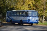 Nowa linia autobusowa, która połączyła Stryków i Głowno z Brzezinami