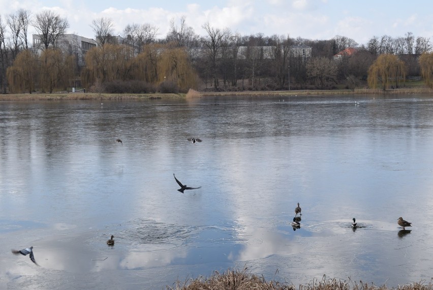 Wenecja odzyska dawny blask. Przejdzie gruntowną rewitalizację