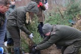 Będą nowe drzewa dla pszczół! Leśnicy nie spodziewali się takiej frekwencji! Do wsi koło Nowej Soli zjechali mieszkańcy odległej okolicy