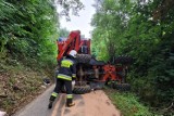 Tęgoborze. Ładowarka przygniotła kierowcę. Mężczyzna niestety nie przeżył wypadku. Zobacz zdjęcia