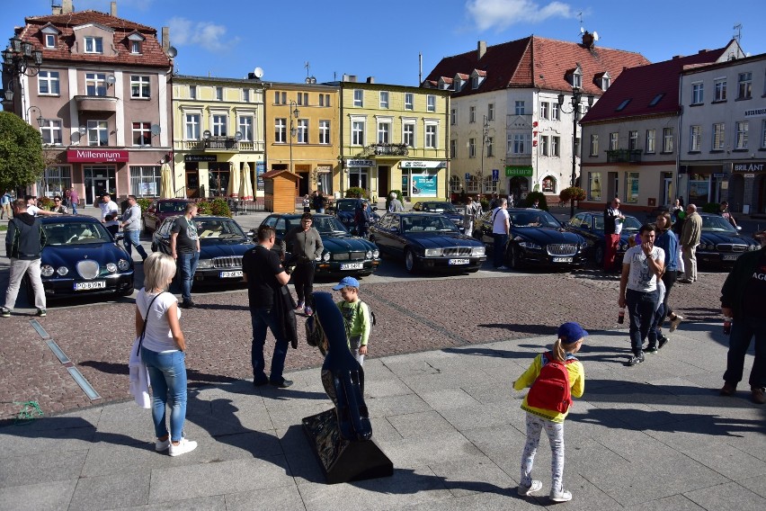 Rajd Ziemi Kujawskiej. Wystawa samochodów marki Jaguar w Żninie [zdjęcia]