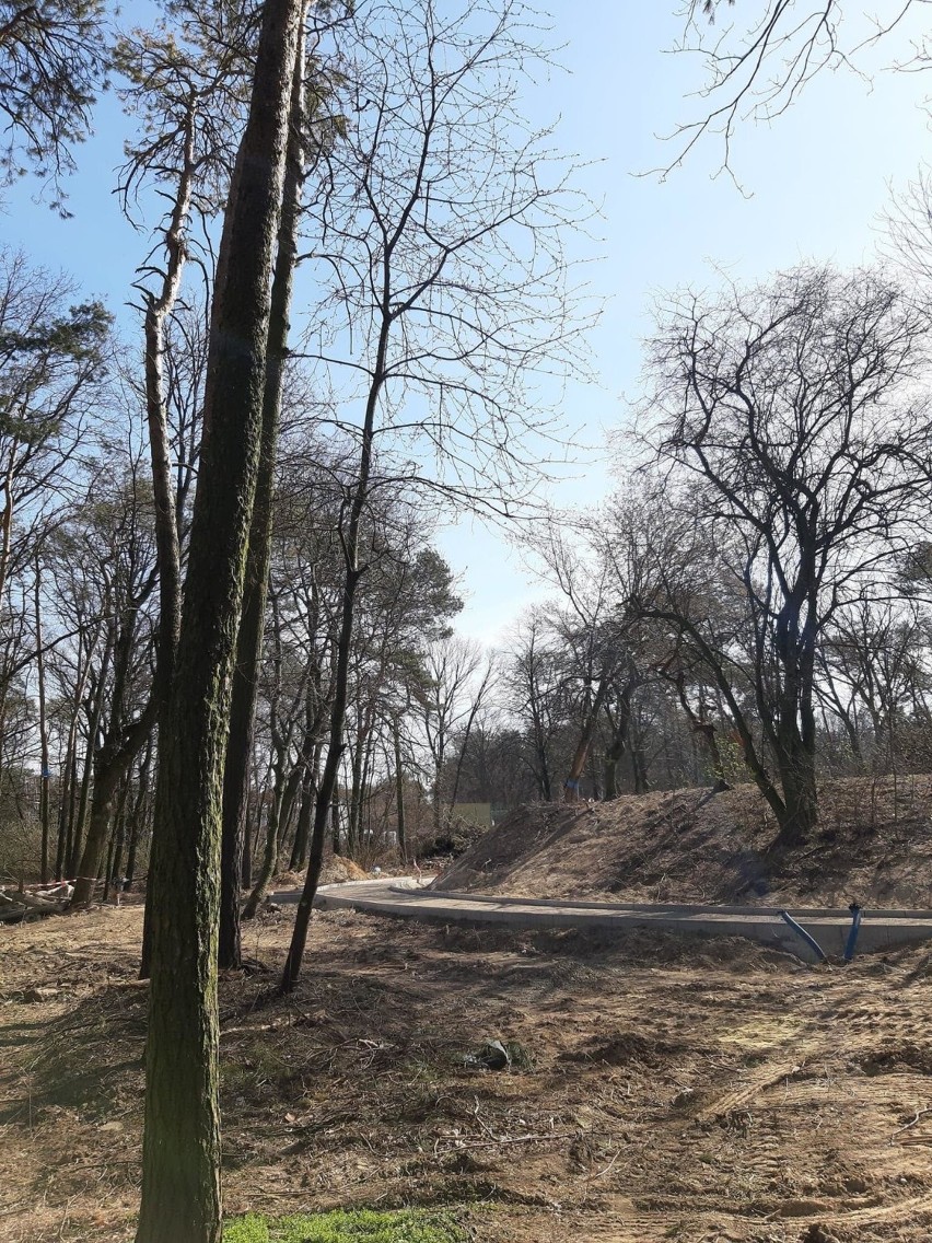 W Świdniku powstaje park linowy z tężnią i innymi atrakcjami. Kiedy otwarcie? 