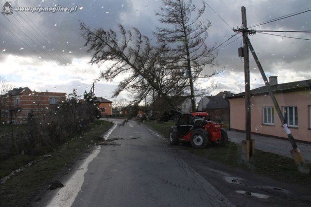 Silny wiatr na terenie powiatu mogileńskiego [ZDJĘCIA]