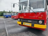 Zlot zabytkowych autobusów w Bydgoszczy. Już w sobotę 18 czerwca widowiskowa parada ulicami miasta