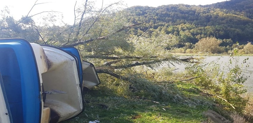 Drzewo przewróciło się na spacerowiczów, wiatr uszkodził...