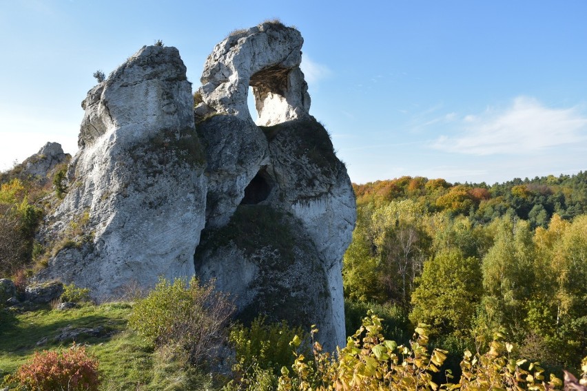 Jurajskie krajobrazy jesienią - Okiennik Wielki.