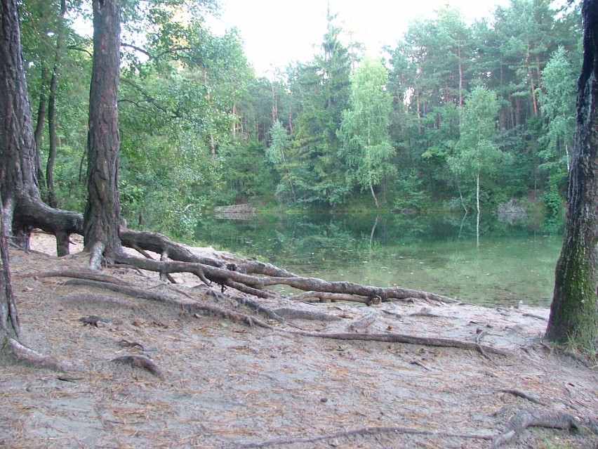 Rezerwat Dolina Żabnika...