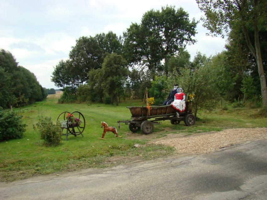 Shazza na dożynkach gminy Opatów