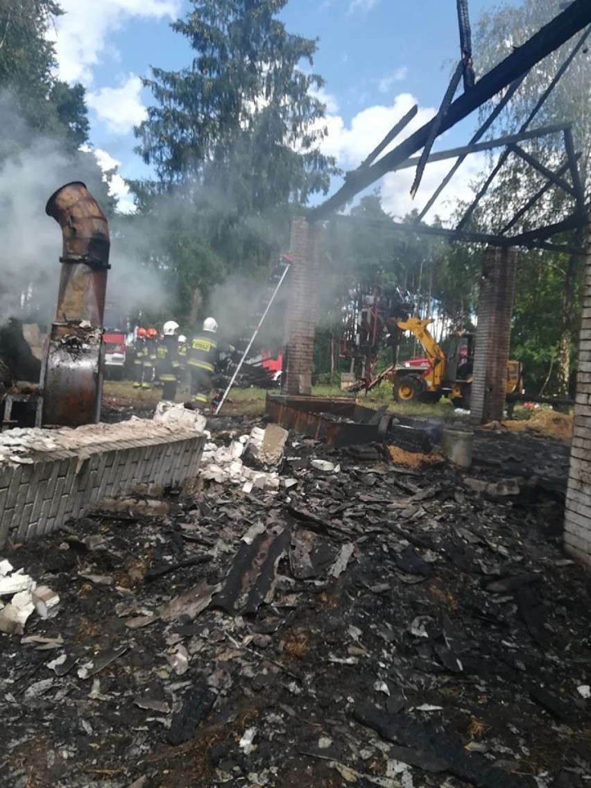 Pożar stodoły w Studziannie w gminie Poświętne. Mieszkańcy pomagali w porządkowaniu pogorzeliska [ZDJĘCIA]