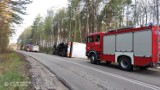 Nowa Kiszewa Chrósty. Samochód ciężarowy z drewnem przewrócił się na łuku drogi [ZDJĘCIA]