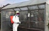Strażacy dezynfekują przystanki autobusowe na trasie do Krynicy 