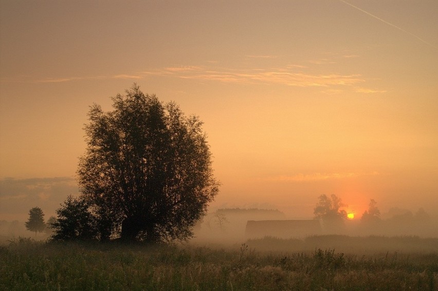 Gmina Zbąszynek w jesiennych barwach