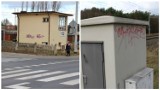 STOP graffiti w Nowej Soli. Za wskazanie wandala - nagroda od prezydenta