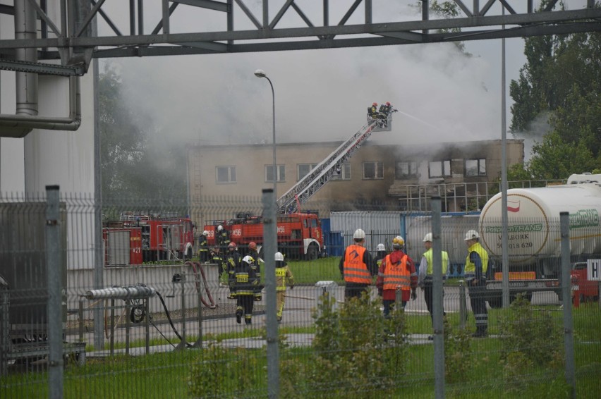 Malbork. Pożar w zakładzie biopaliw przy ul. Dalekiej [ZDJĘCIA, FILMY]. Oświadczenie spółki: "Nie ma zagrożenia"