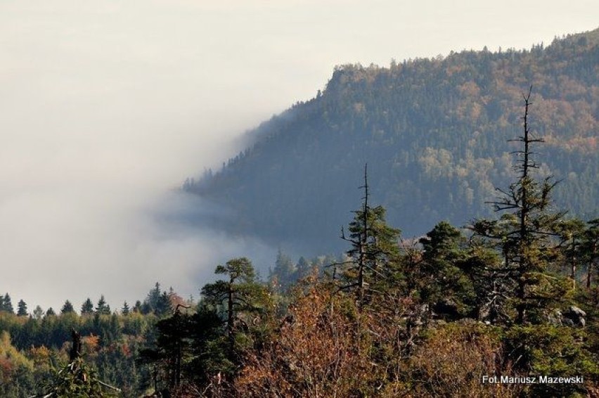 Widok na dolinę, która była spowita mgłą. Fot. Marta S. i...