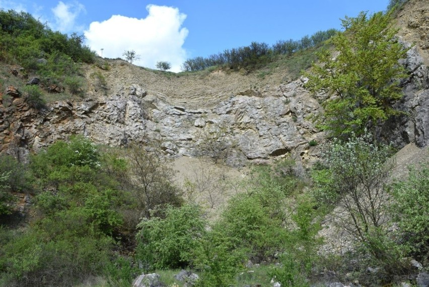 Rezerwat geologiczny Wietrznia imienia Zbigniewa...