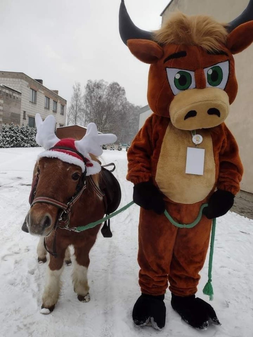 Przygotowania do jutrzejszej akcji charytatywnej dla Mai...