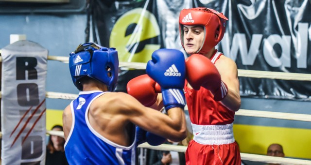 05.11.2017 bydgoszcz &nbsp;sala boksu zawisza
memoriał edwarda rinkego
 boks  branecki fabian zawisza czerwony dolowy daniel niebieski fot.dariusz bloch/polska press