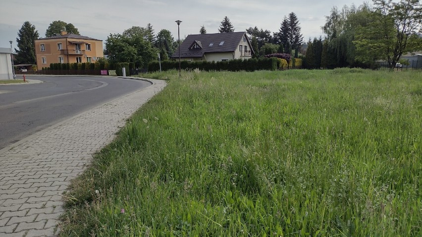 Niezagospodarowany teren przy ul. Lwowskiej w Krośnie zmieni się w park kieszonkowy dla młodych. Mieszkańcy zdecydują, jak ma wyglądać