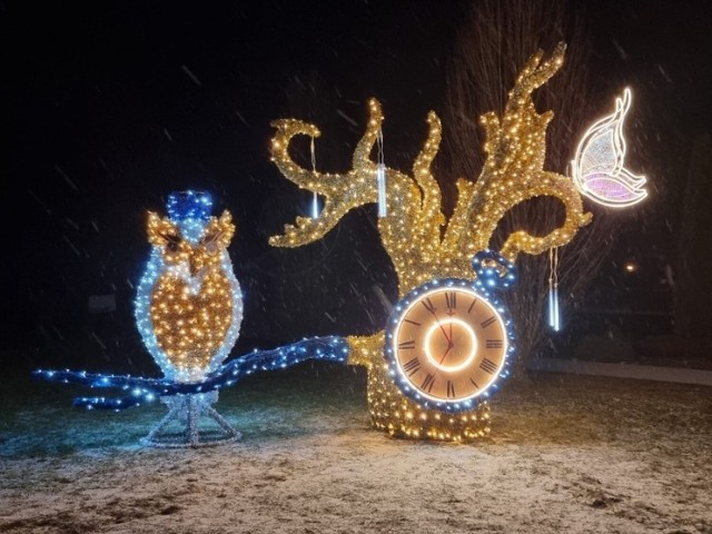 Tak w zeszłym sezonie zimowym wyglądał zimowy ogród świateł w Muszynie. Także w tym roku turyści i mieszkańcy będą mogli podziwiać iluminacje inspirowane postaciami z bajek